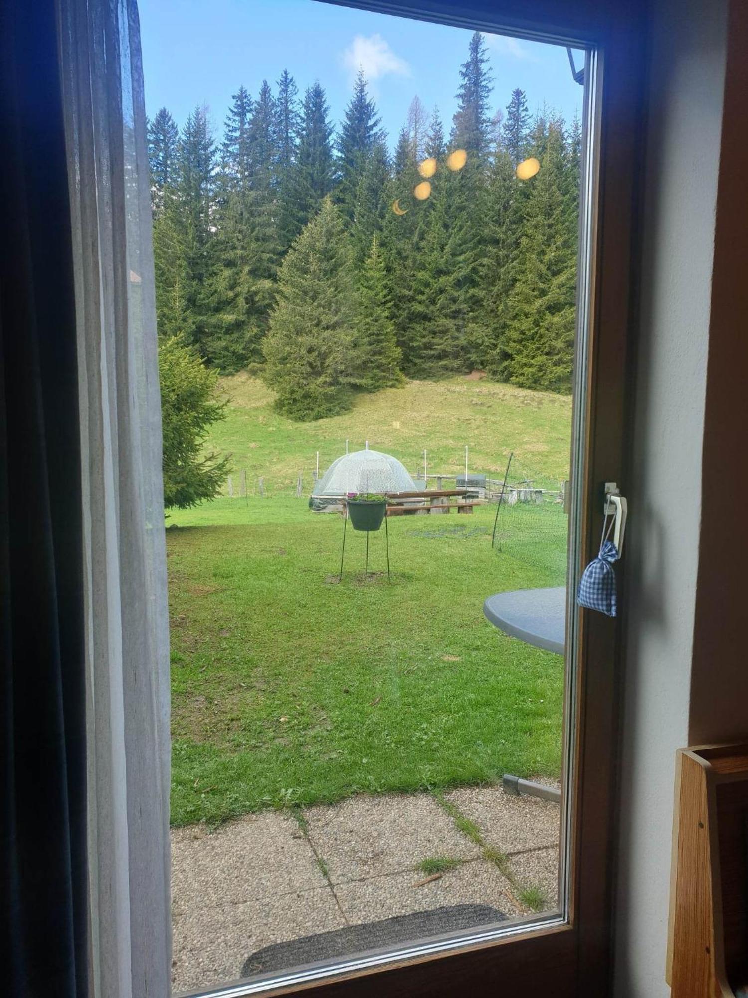 Ferienhaus Schaefer - Apartments - Wintersports - Family Holiday - Holiday With Your Dog - Rural & Scenic Flattnitz Exterior foto
