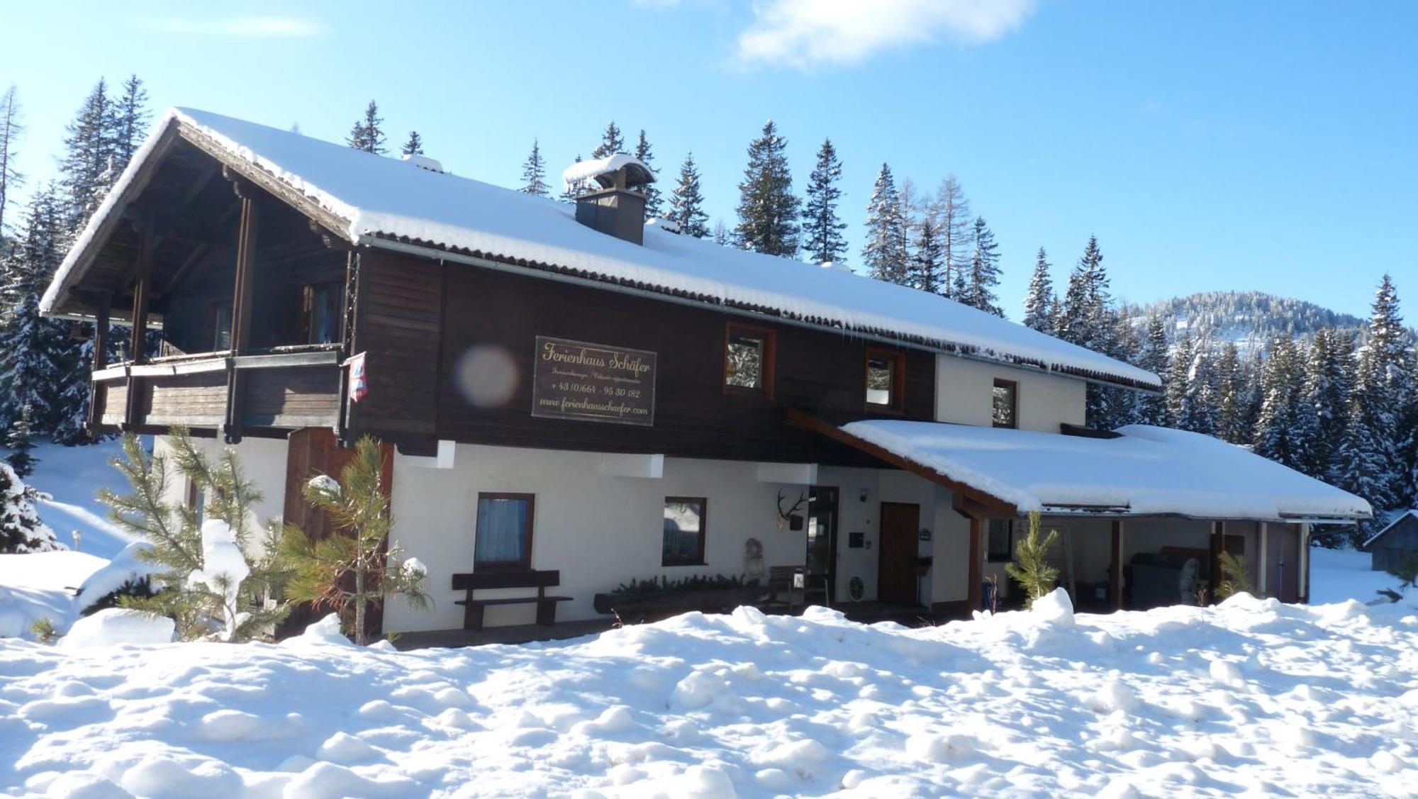 Ferienhaus Schaefer - Apartments - Wintersports - Family Holiday - Holiday With Your Dog - Rural & Scenic Flattnitz Exterior foto