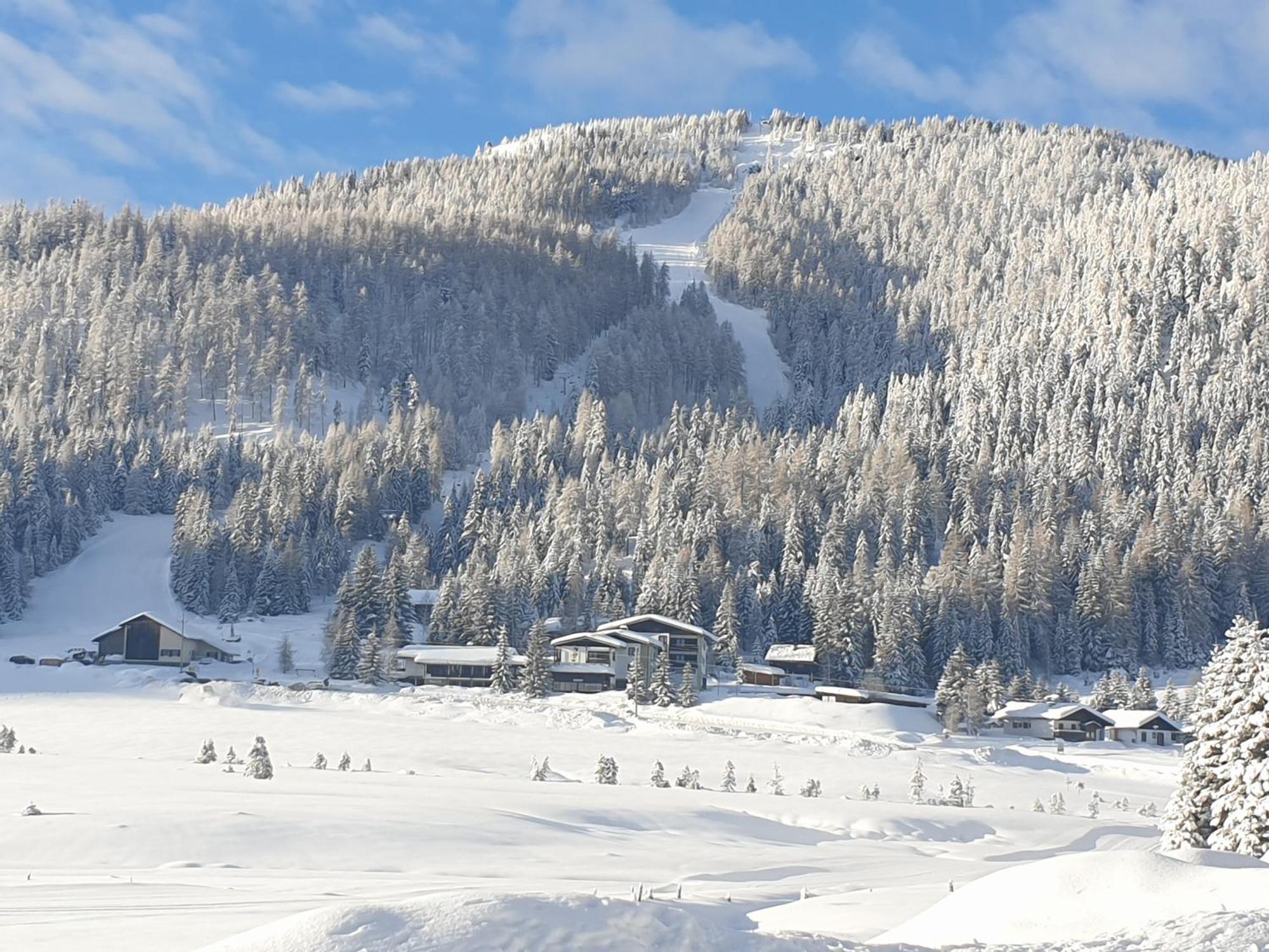 Ferienhaus Schaefer - Apartments - Wintersports - Family Holiday - Holiday With Your Dog - Rural & Scenic Flattnitz Exterior foto