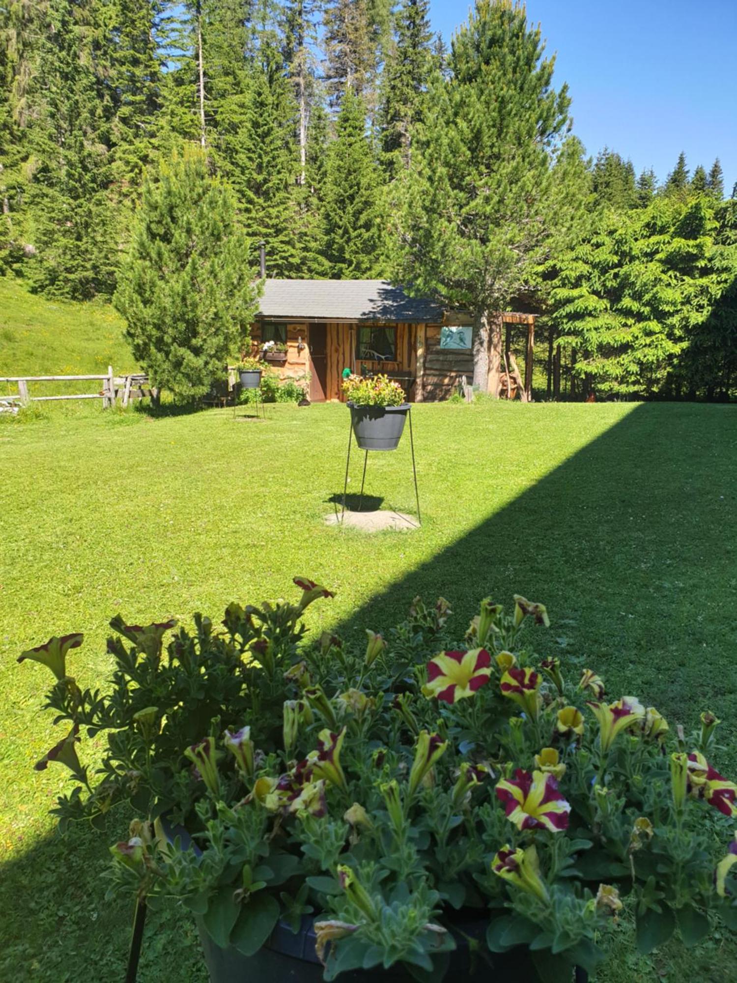 Ferienhaus Schaefer - Apartments - Wintersports - Family Holiday - Holiday With Your Dog - Rural & Scenic Flattnitz Exterior foto