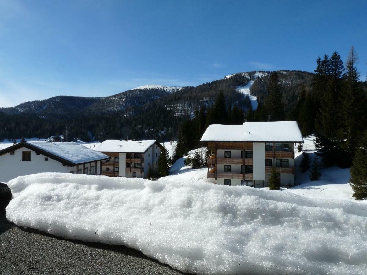 Ferienhaus Schaefer - Apartments - Wintersports - Family Holiday - Holiday With Your Dog - Rural & Scenic Flattnitz Exterior foto